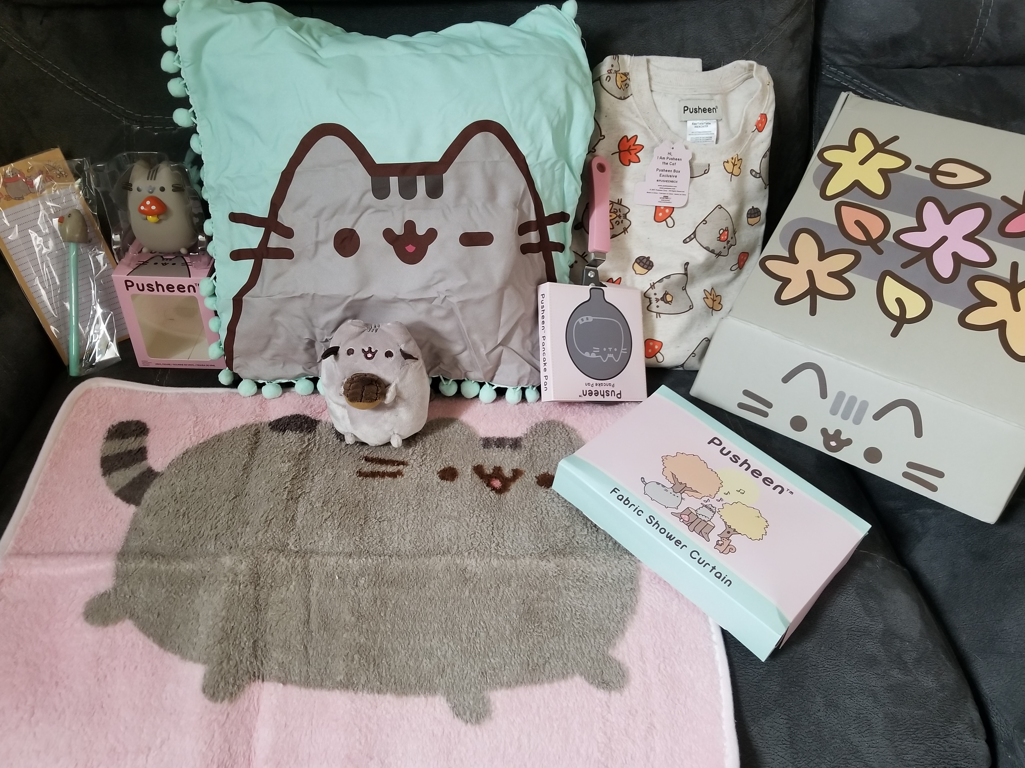 Pusheen Subscription Box