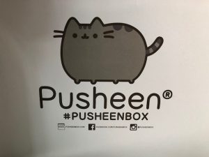 Pusheen, Cat, subscription box, blanket, tape dispenser, photo clips, slippers, water bottle