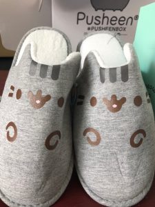 Pusheen, Cat, subscription box, blanket, tape dispenser, photo clips, slippers, water bottle