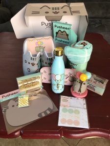 Pusheen, Cat, subscription box, blanket, tape dispenser, photo clips, slippers, water bottle