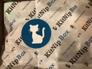 Cat subscription box, feline, cat toys, cat treats, cat health, cat love