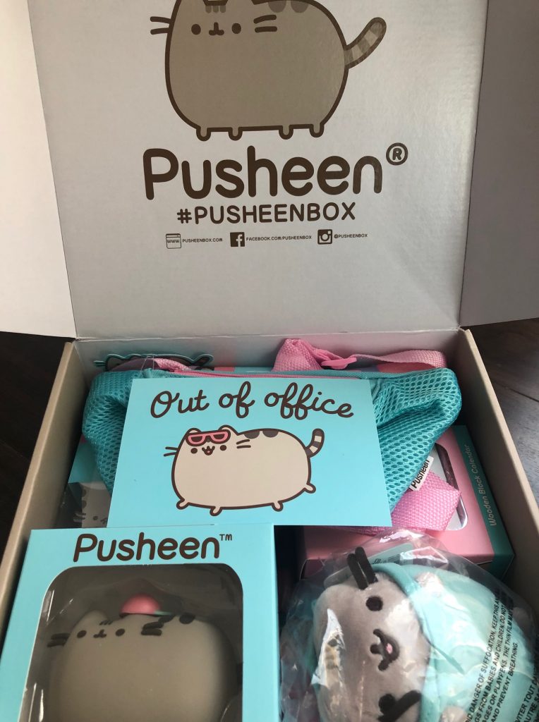 pusheen, subscription box, cat, jump rope, yoga towel, plush, jacket, calendar, key holder, socks