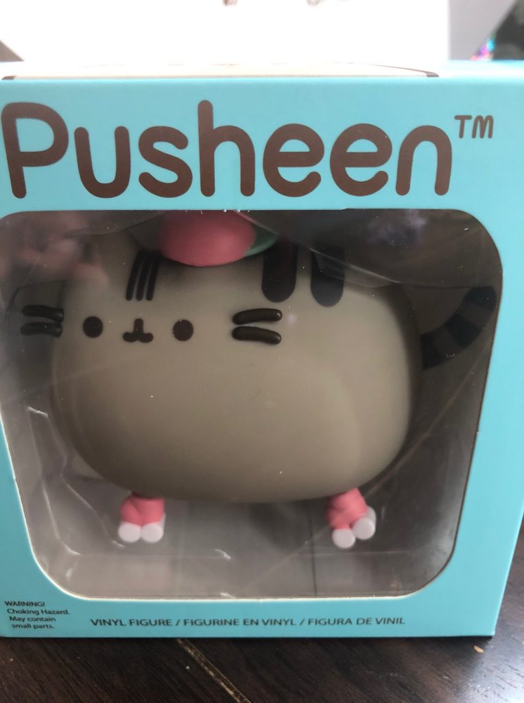 pusheen, subscription box, cat, jump rope, yoga towel, plush, jacket, calendar, key holder, socks