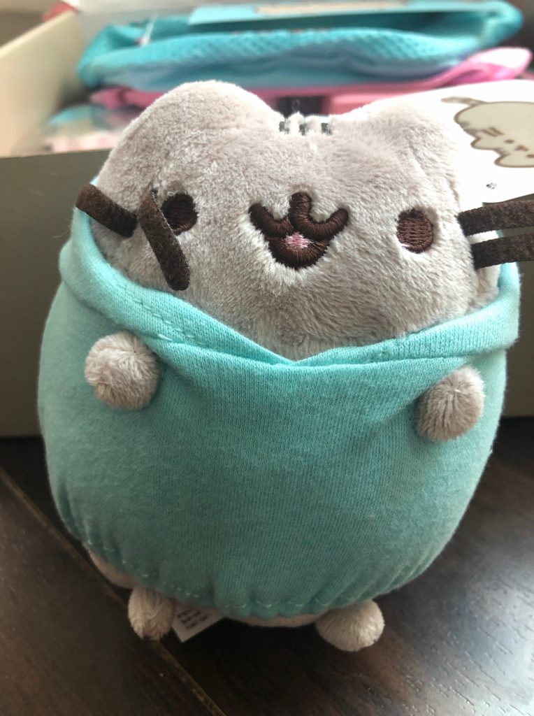 pusheen, subscription box, cat, jump rope, yoga towel, plush, jacket, calendar, key holder, socks