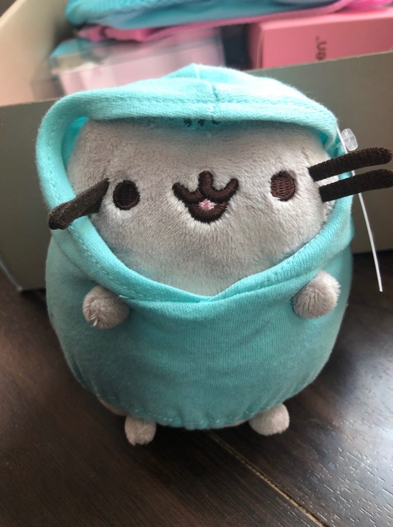 pusheen, subscription box, cat, jump rope, yoga towel, plush, jacket, calendar, key holder, socks