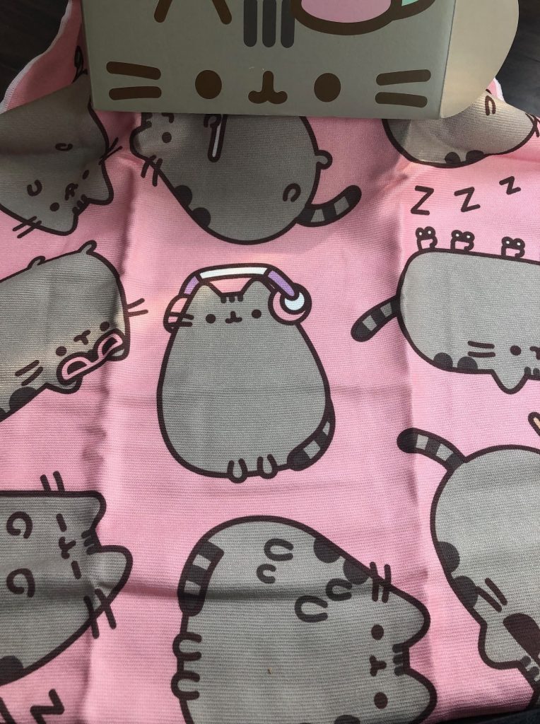 pusheen, subscription box, cat, jump rope, yoga towel, plush, jacket, calendar, key holder, socks